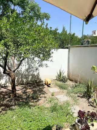 Origini - Apartment With Private Garden Lecce Ngoại thất bức ảnh